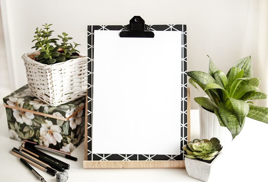 Paper On Board Beside Pens , blank, clipboard, leaf, plant part HD wallpaper