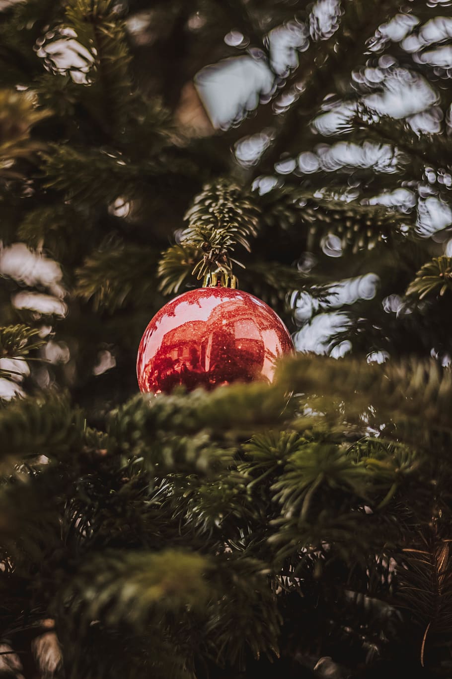 red bauble decor hanging on tree, happy, bokeh, wallpaper, holiday HD wallpaper