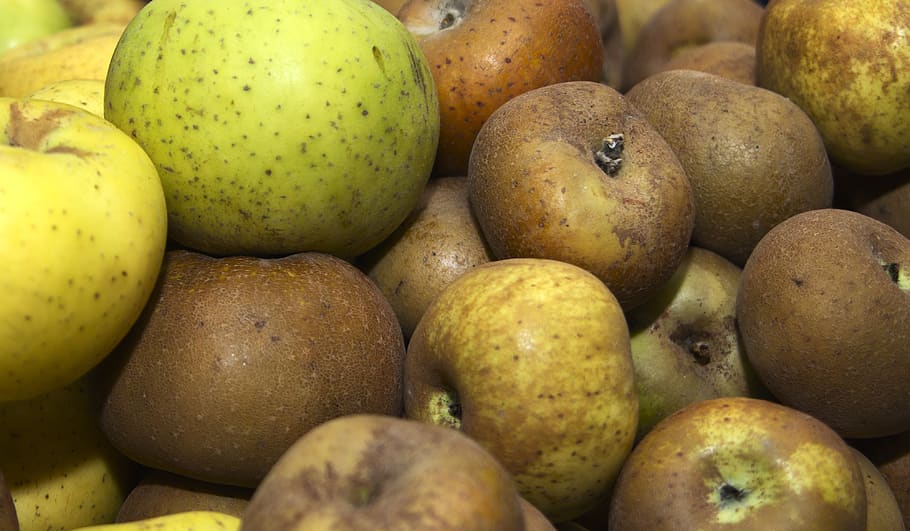 apples, fruit, eco, healthy, vitamins, fresh, delicious, food HD wallpaper