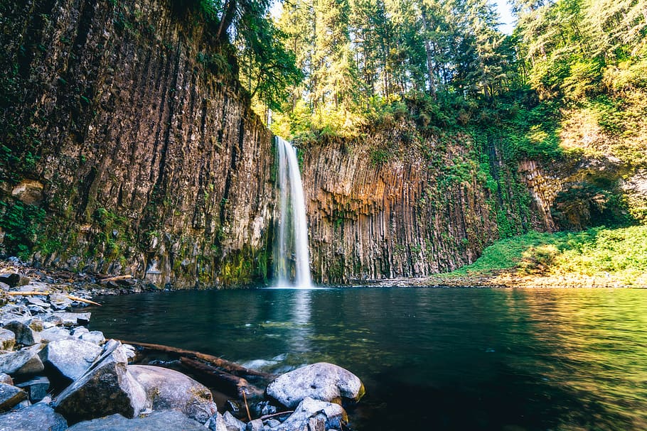 falls during daytime, water, tree, scenics - nature, beauty in nature HD wallpaper
