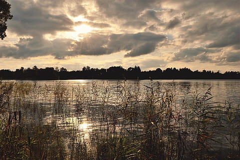 sweden, forest, autumn, fall, sun, sunshine, clouds, lake, outdoors HD wallpaper