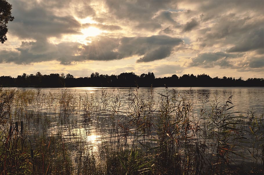 sweden, forest, autumn, fall, sun, sunshine, clouds, lake, outdoors HD wallpaper