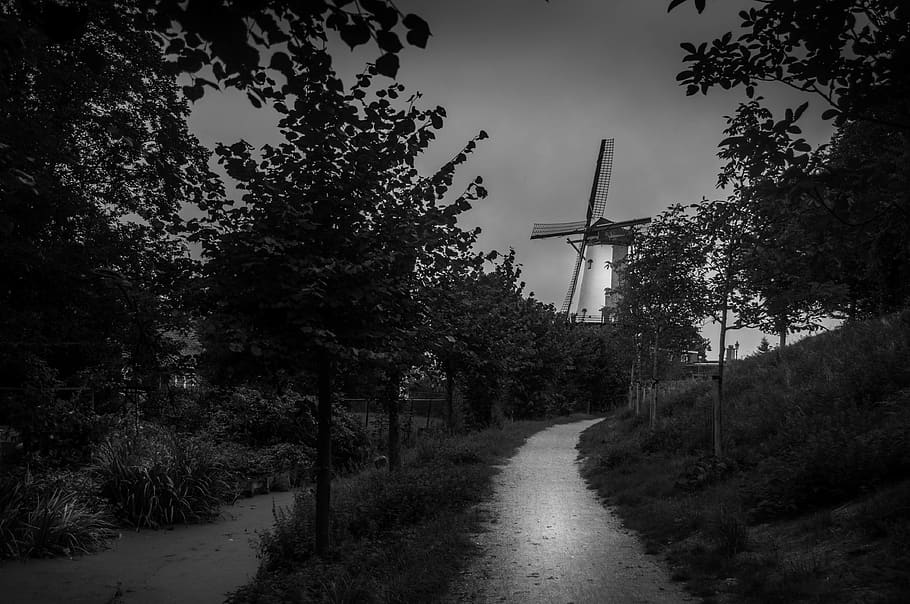 netherlands, willemstad, tree, plant, sky, direction, fuel and power generation HD wallpaper