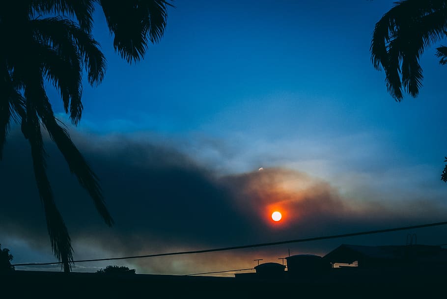 dark, trees, clouds, shadow, sunset, wallpaper, noir, black HD wallpaper