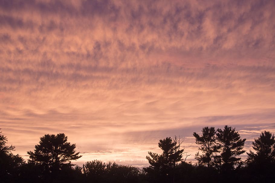 sunset, pink, yellow, clouds, cloudscape, trees, nature, landscape HD wallpaper