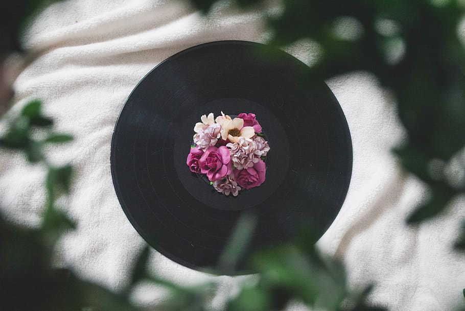 Photography of Flowers On Top of Vinyl Record, beautiful, blanket