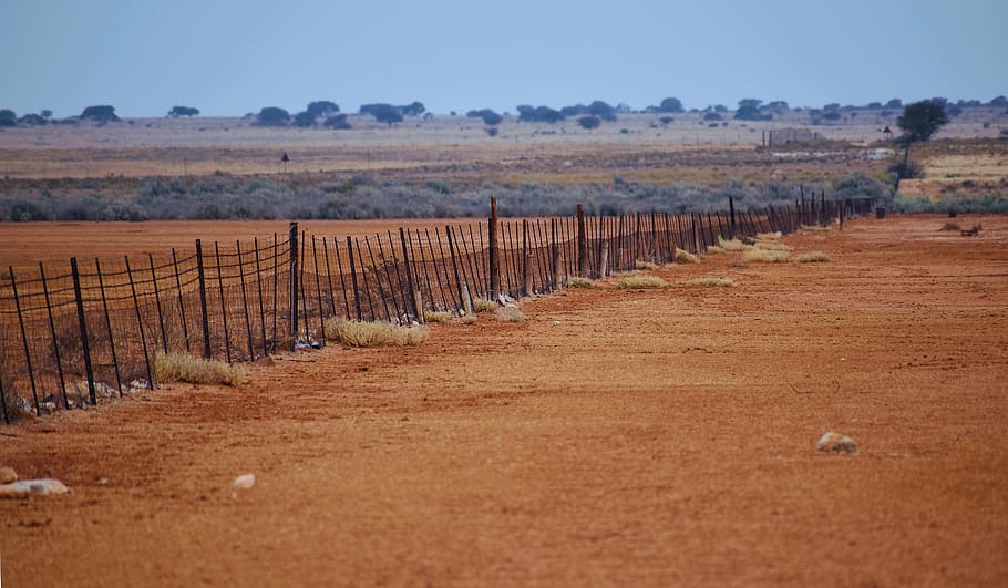 fence, old, arid, dry, bare soil, field, landscape, environment HD wallpaper