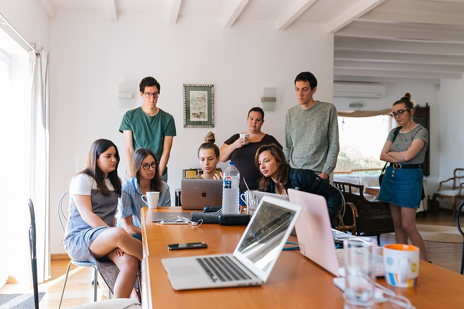 Group of People Watching on Laptop, adults, brainstorming, desk, HD wallpaper