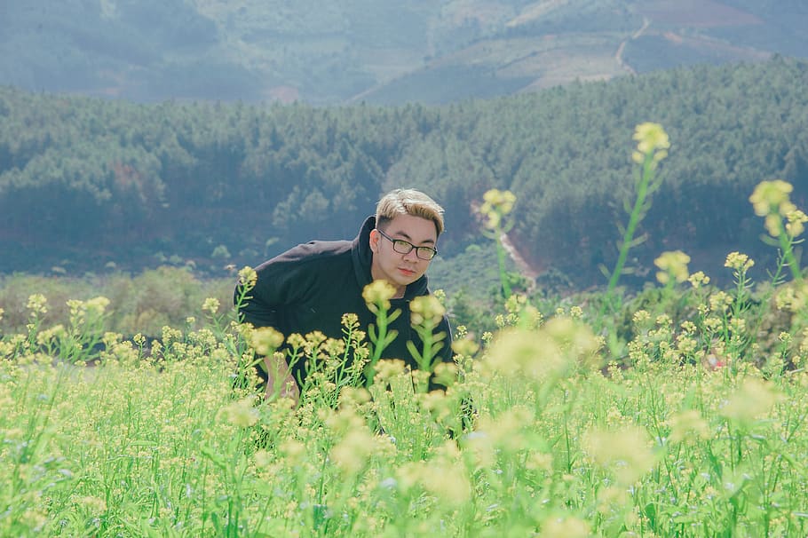 Man in Black Pullover Hoodie Standing in Flower Field, blur, cropland HD wallpaper