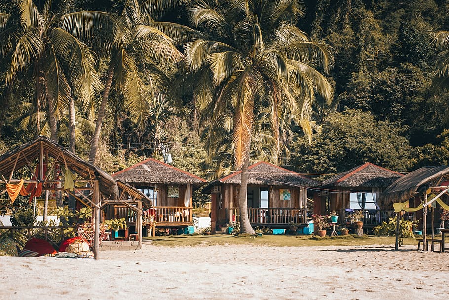 nipa huts on seashore, tree, plant, architecture, palm tree, built structure