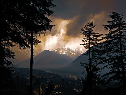 india, manali, sunset, tree, mountain, beauty in nature, sky HD wallpaper