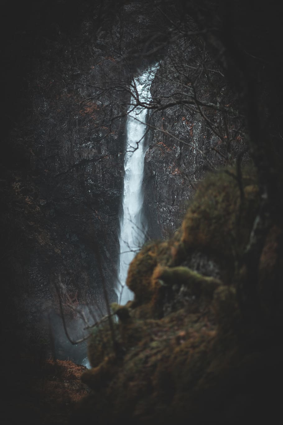 waterfalls behind trees, nature, outdoors, river, plant, vegetation HD wallpaper