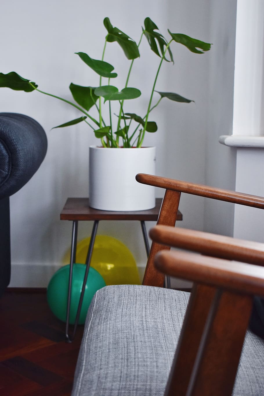 green leaf plant on table, indoors, seat, chair, home interior HD wallpaper
