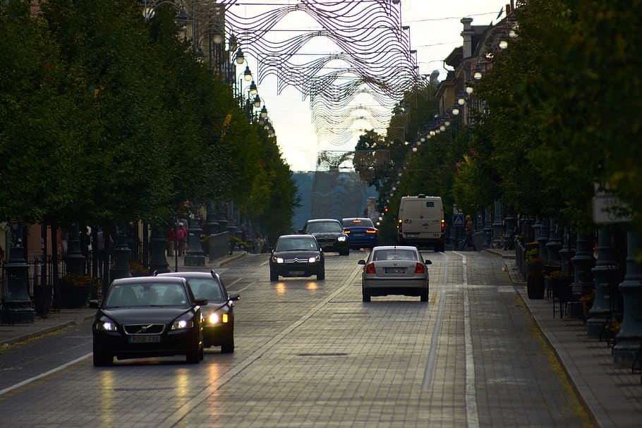 vilnius, lithuania, car, trees, paved road, motor vehicle, mode of transportation HD wallpaper