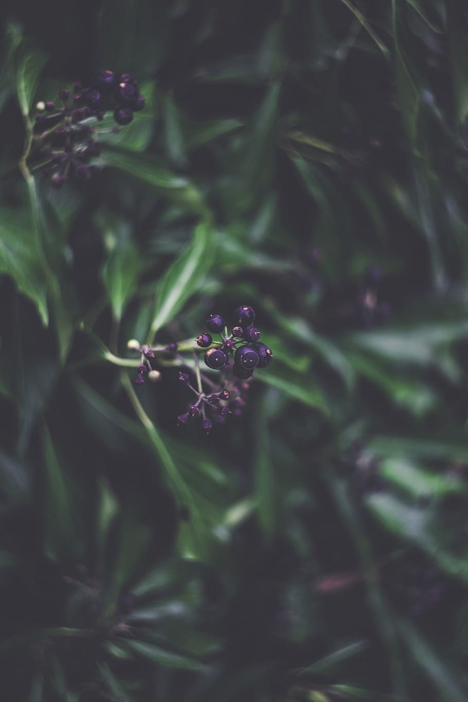 wild, warm, swirley, spring, space, season, scenery, relax HD wallpaper