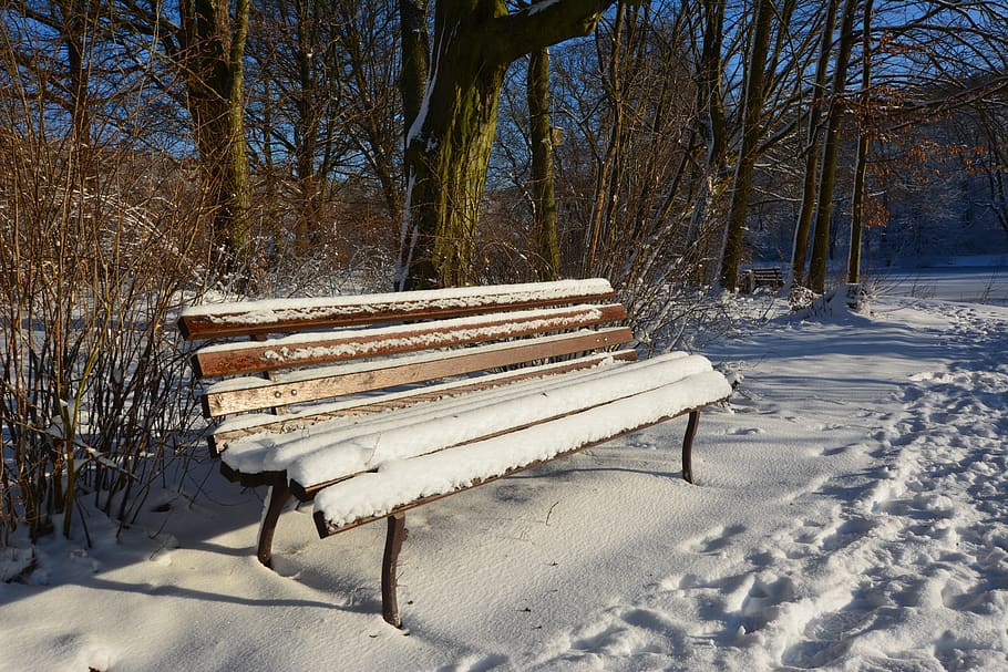 winter, park, wintry, tranquility base, sun, snow, cold temperature HD wallpaper