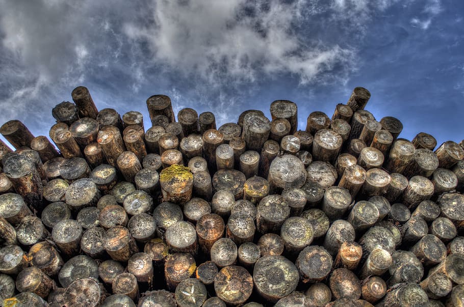 wood, lumber, logs, sky, cloud - sky, no people, nature, stack HD wallpaper