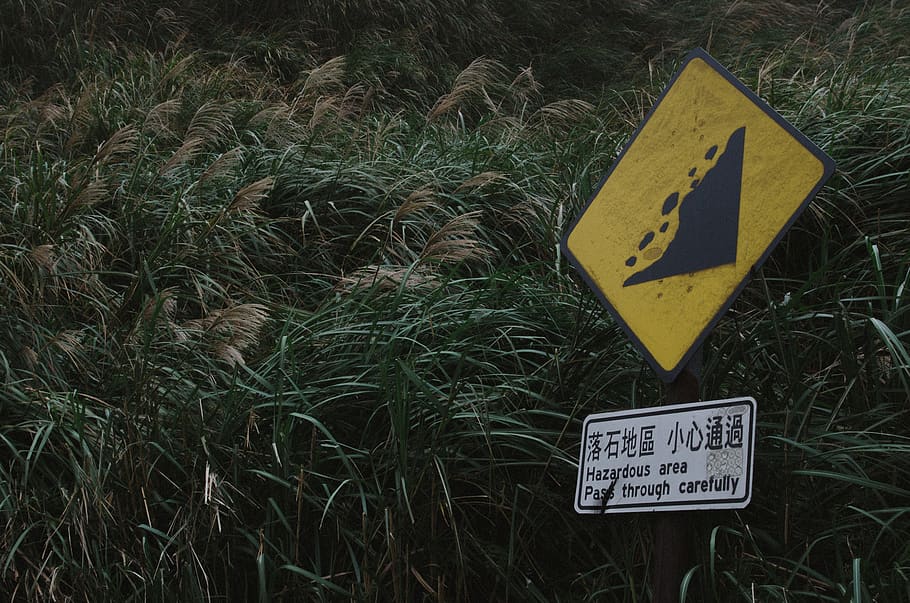 green grass, symbol, road sign, stopsign, plant, arrow, lawn HD wallpaper