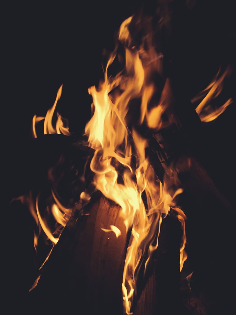 bonfire at night time, heat, colour, motion, flame, spark, camping HD wallpaper