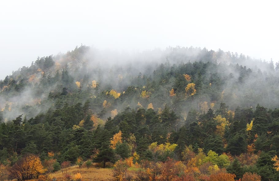 france, modane, fall, autumn, trees, fog, cloudy, mountain HD wallpaper