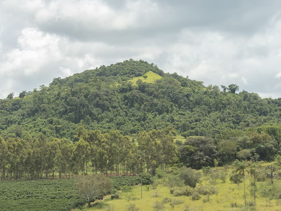 nature, outdoors, countryside, hill, itaú, brasil, itaú de minas