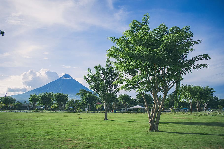 Landscape Photography of Open Field With Tree With Mayon Volcano Background