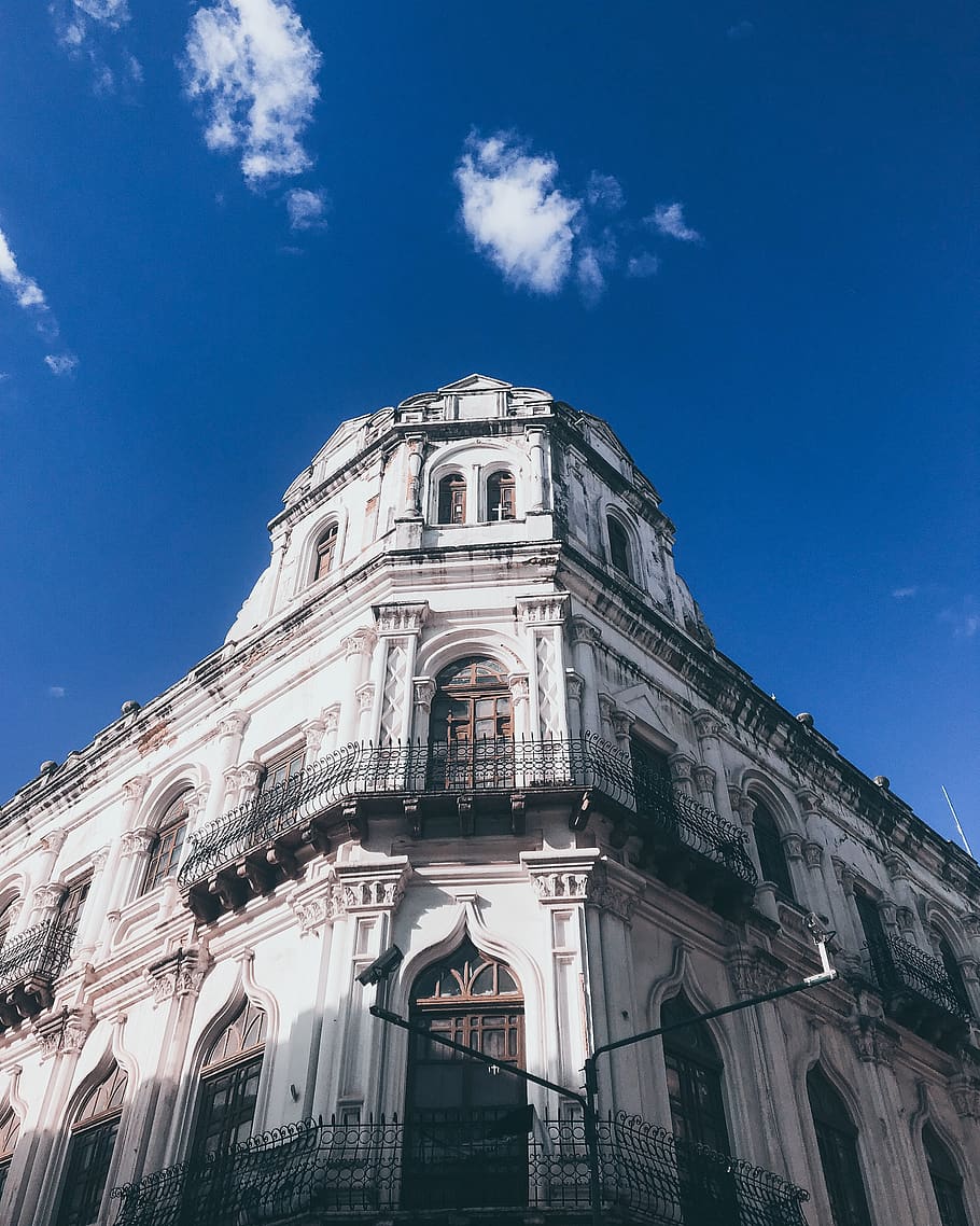 dome, architecture, tower, office building, plant, Clouds, Window HD wallpaper