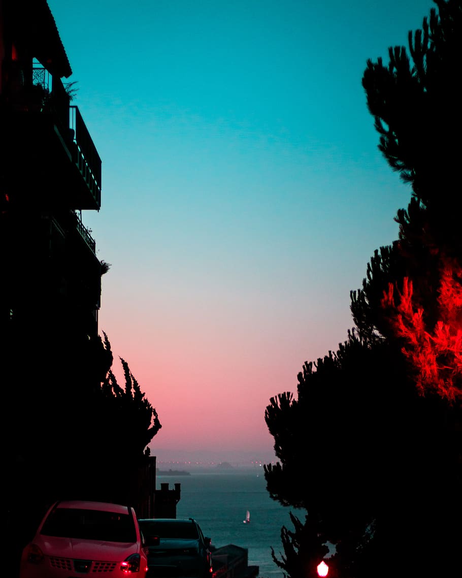 gradient, false color, popsicle, red, blue, tree, light, sky HD wallpaper