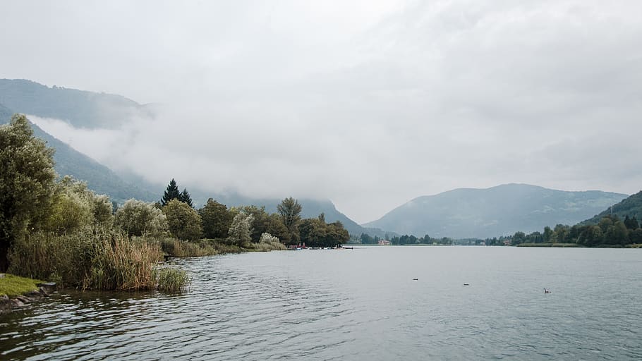 trees beside calm water, nature, outdoors, italy, lake, land HD wallpaper