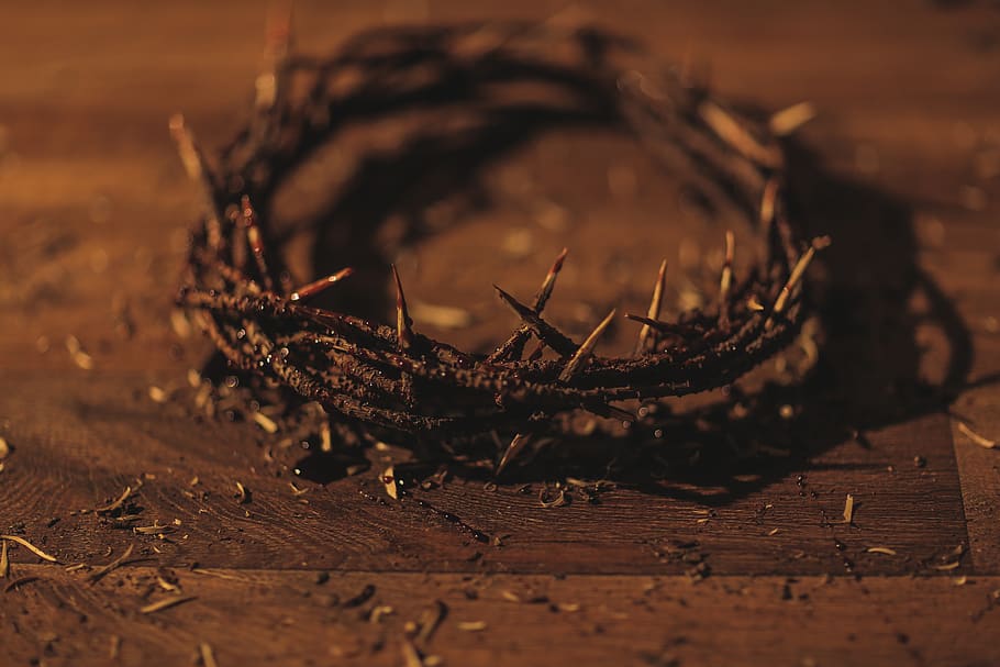 sphere, passage, crown, easter, supper, christ, lamb, blood HD wallpaper