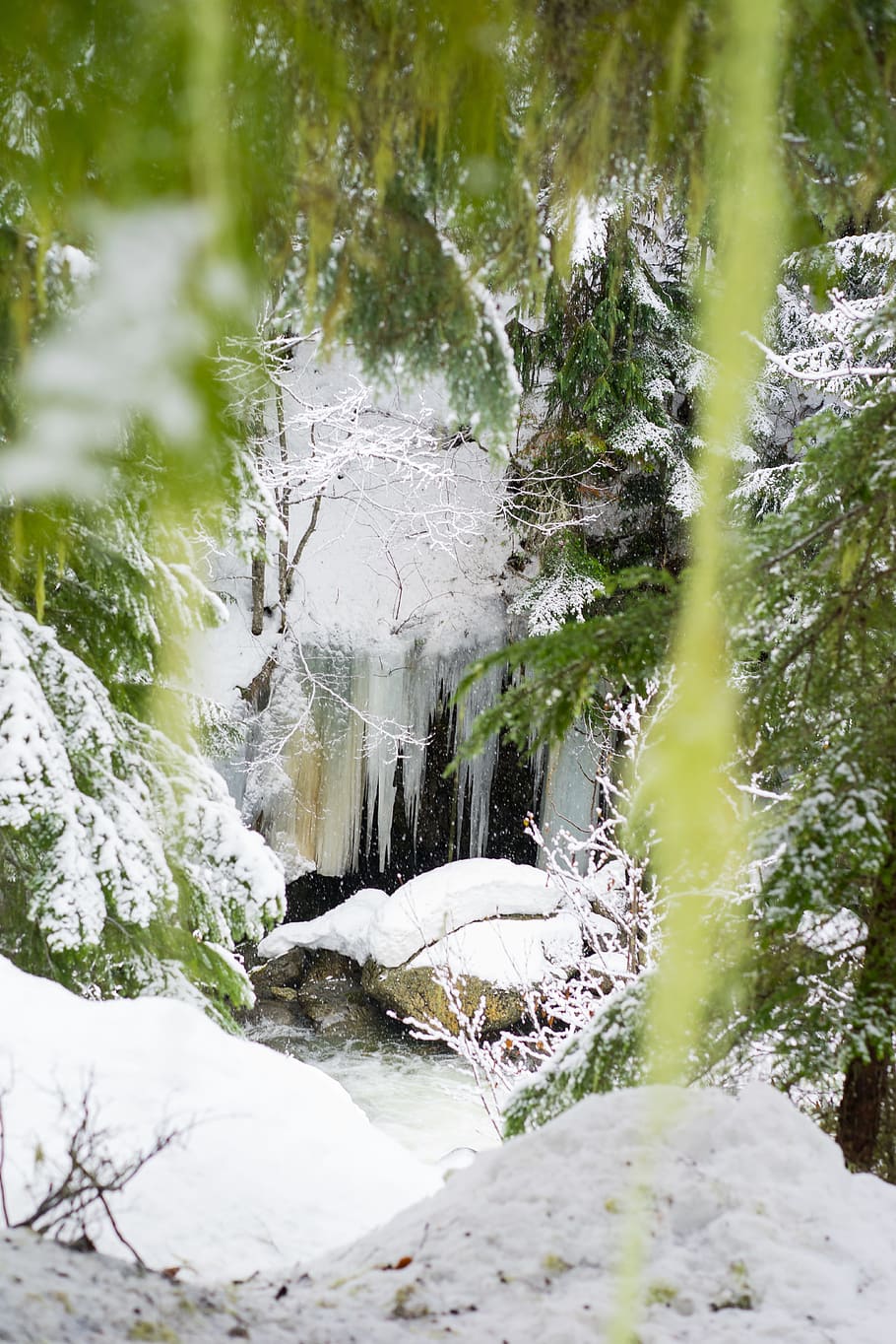 shed coated snow near tree, icicle, river, waterfall, frozen waterfall HD wallpaper