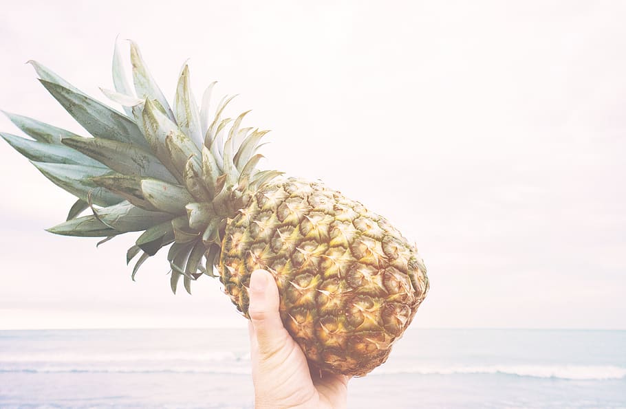 pineapple, dessert, appetizer, fruit, juice, crop, beach, ocean HD wallpaper