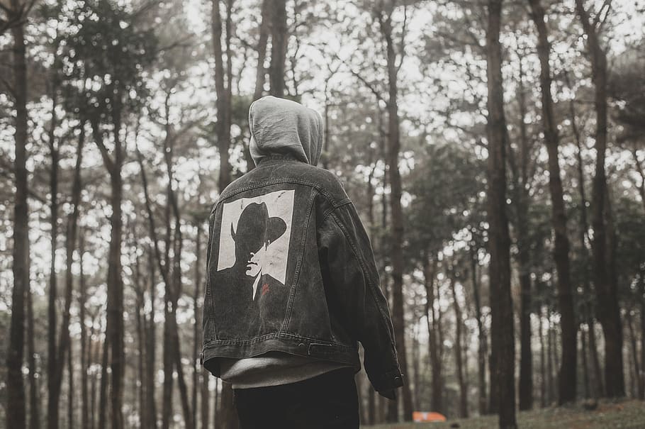 Person Standing Near Tall Trees, adventure, back view, blur, denim jacket HD wallpaper