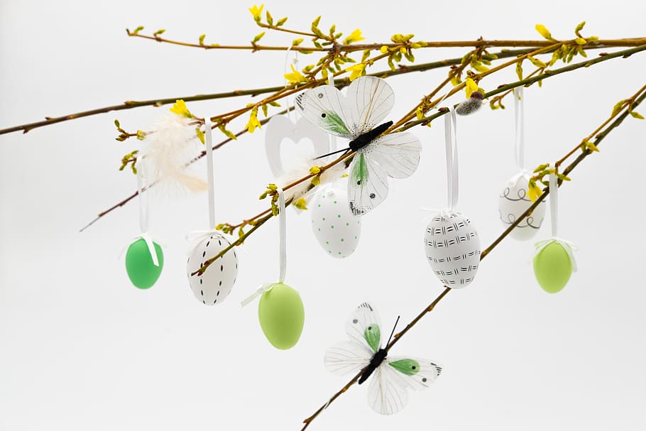 easter eggs, easter tree, easter bush, spring, map, osterkarte HD wallpaper