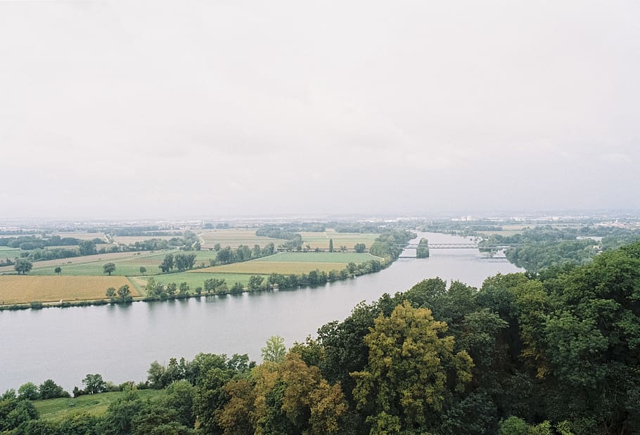 germany, donaustauf, walhalla, tree, water, plant, scenics - nature HD wallpaper