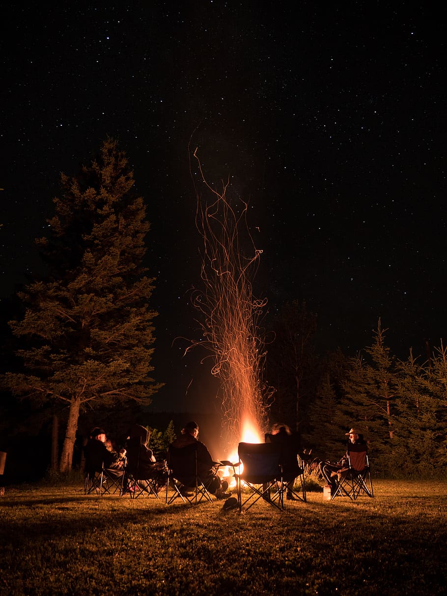 trees, forest, campfire, stars, burning, night, fire - natural phenomenon HD wallpaper