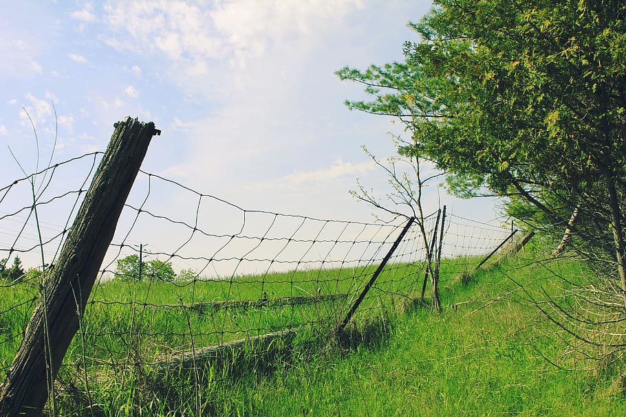 fenceline, country, plant, barrier, boundary, sky, grass, protection HD wallpaper