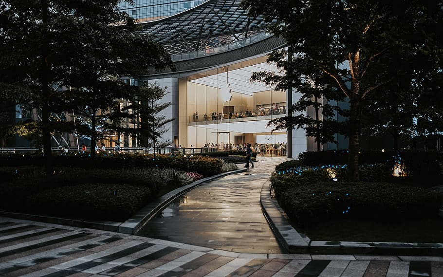 pathway leading to building between trees, urban, apple, modern HD wallpaper