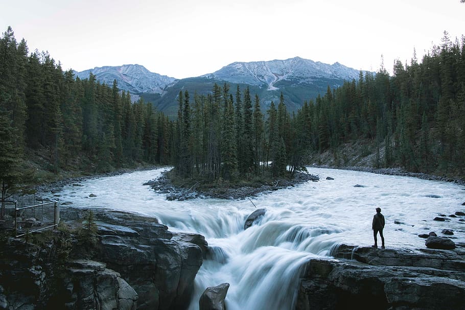 canada, jasper, river, forest, smallhuman, island, adventure HD wallpaper
