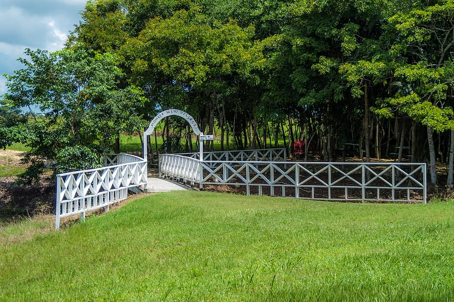 railing, bridge, white, cross, over, creek, recreation, grass HD wallpaper