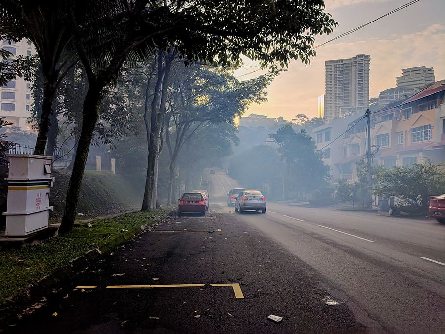 road, morning, sun, sunrays, cars, smoke, transportation, mode of transportation HD wallpaper