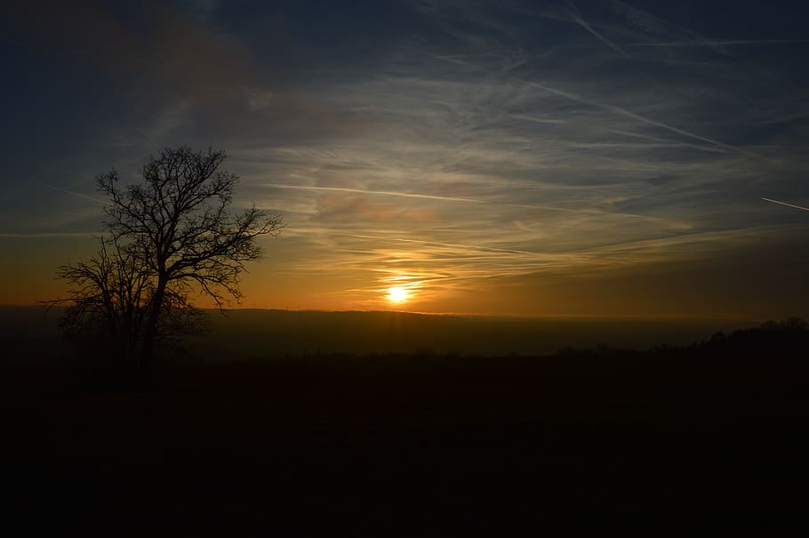 sunset, sundown, landscape, tree, abendstimmung, evening sky HD wallpaper