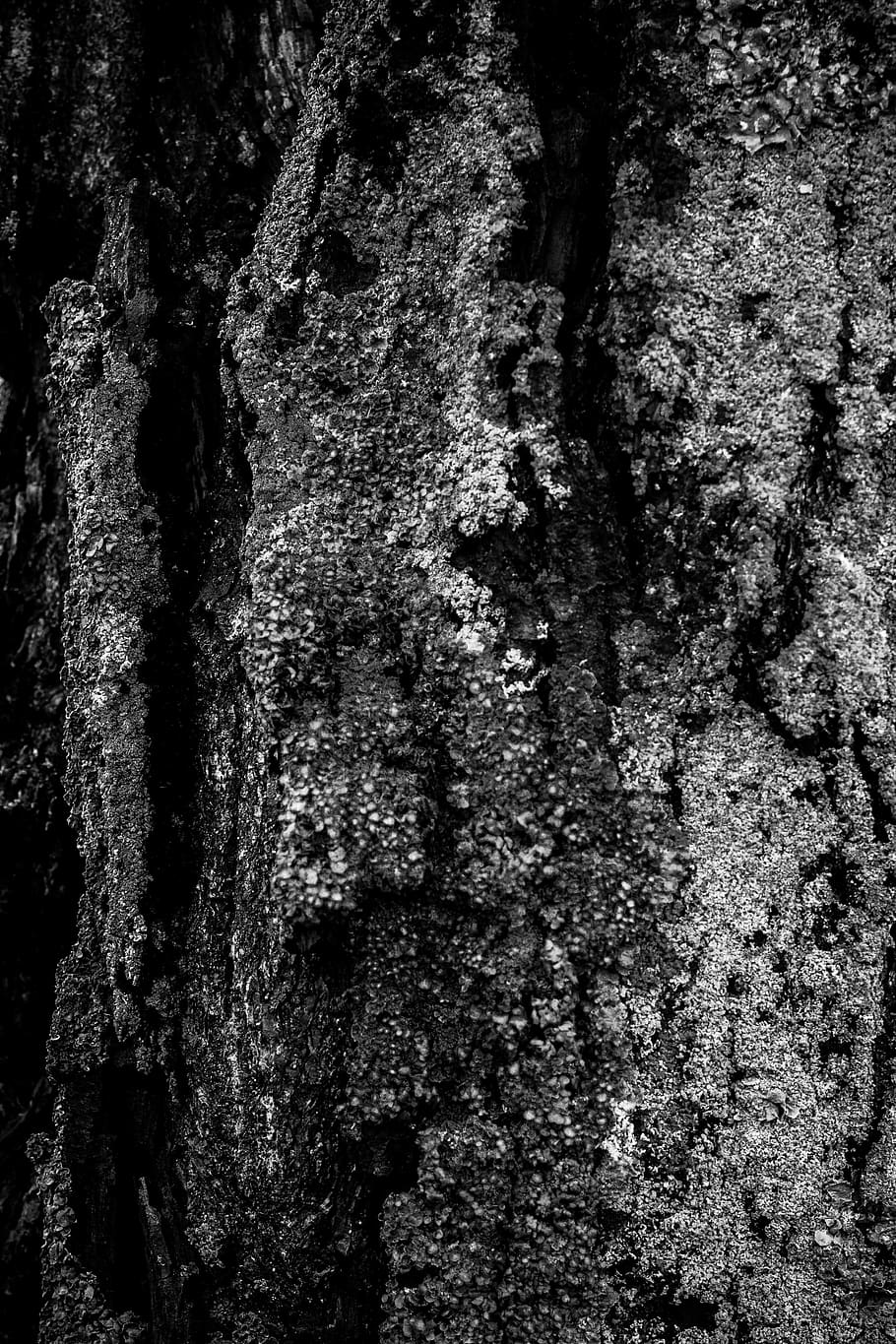 pattern, minimalism, structure, tree, trunk, gray, nature, black and white HD wallpaper