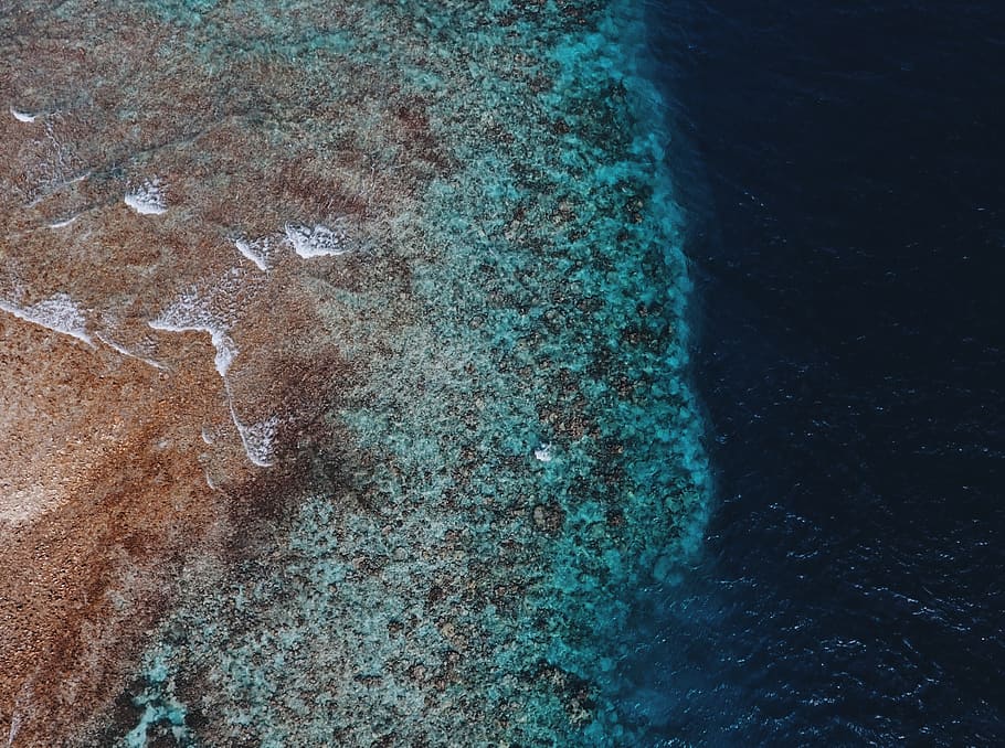 maldives, bathalaa, coral reef, coastal, blue, dji, phantom4, HD wallpaper