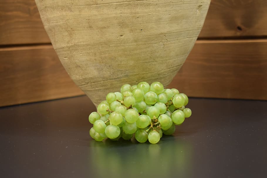 vine, vineyard, wine, fruit, harvest, agriculture, grape, leaves HD wallpaper