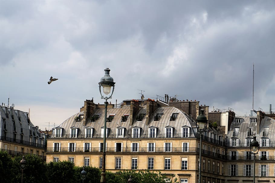 architecture, bird, flying, light, traffic light, building HD wallpaper