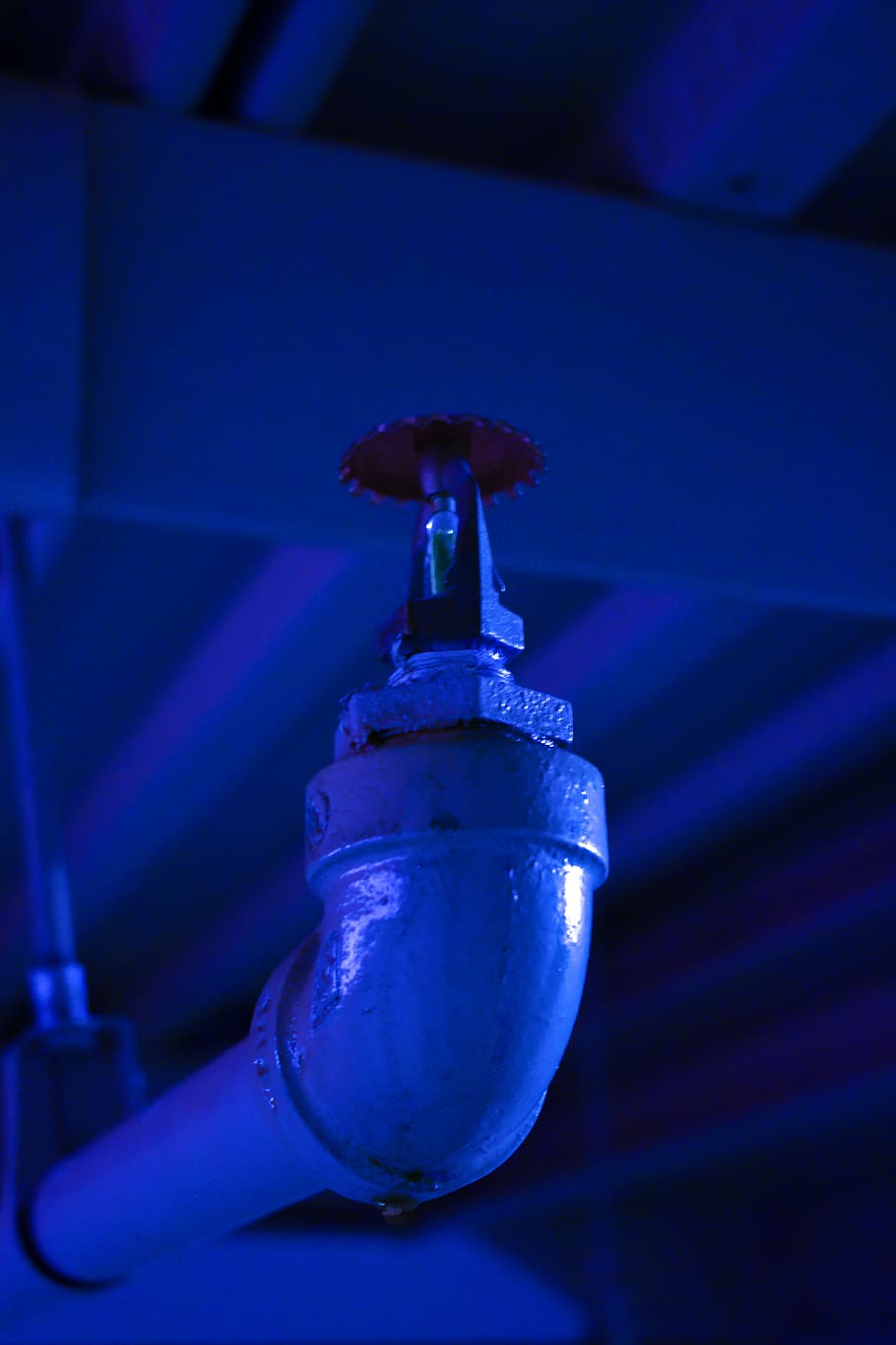 lighting, glass, stage, trophy, light fixture, goblet, flare HD wallpaper