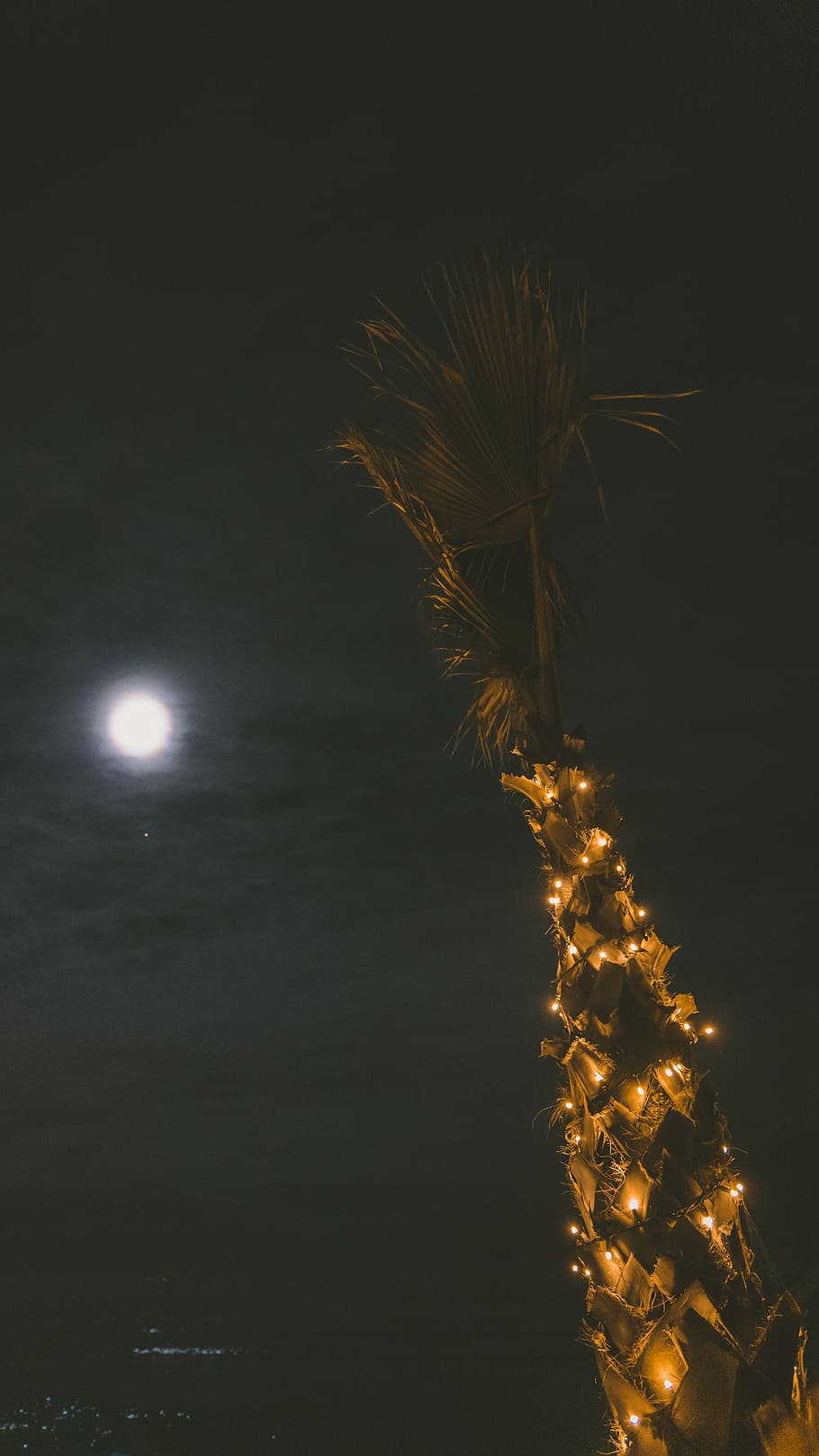 moon, sky, blue, ocean, palmtree, lights, night, beach, peace HD wallpaper