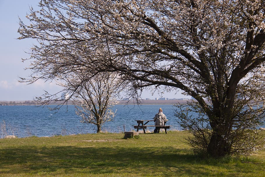 view, rest, bench, wood, landscape, natural, sky, blue, clouds HD wallpaper