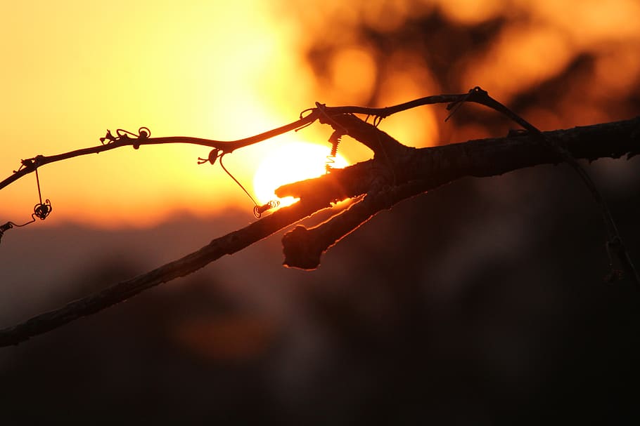 dusk, sky, sunset, evening, mood, landscape, nature, twilight HD wallpaper
